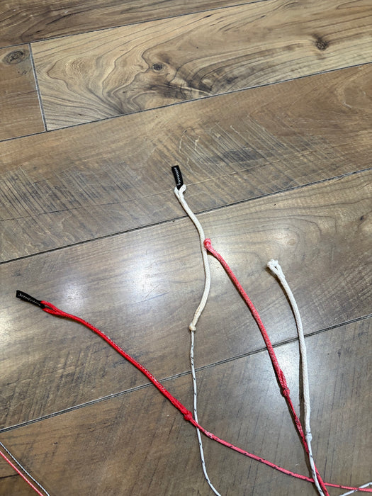 2025 Reedin DreamStick X V2.5 Control Bar Used (#2) small loop