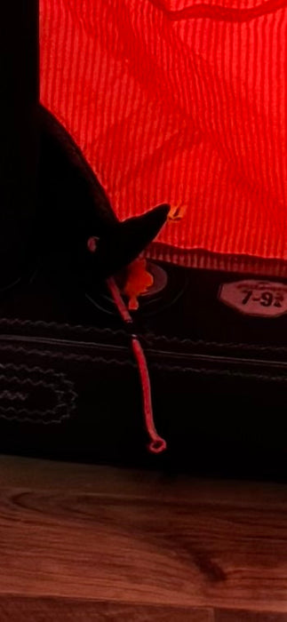 Naish 24/25 Triad 10m Kite Red USED