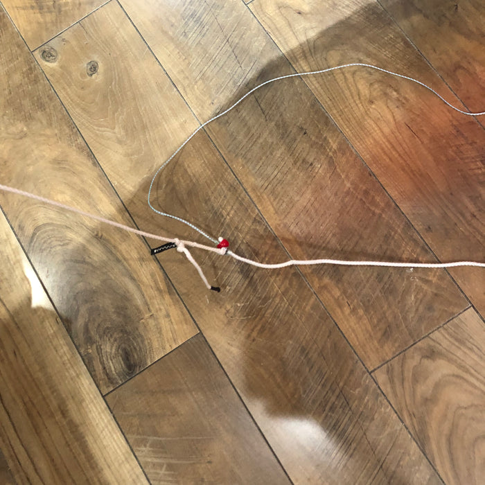 2022 Reedin Supermodel V3 12m Kite Used