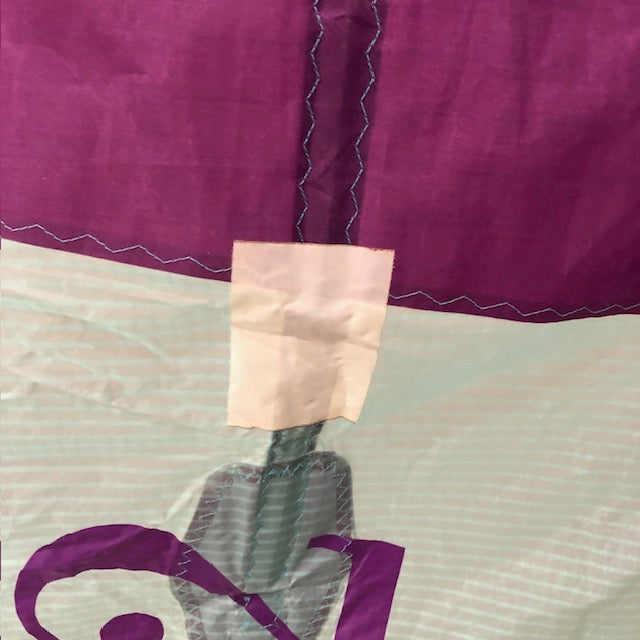 2020 Duotone Dice 12m Kite Used