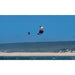 2024 Cabrinha Moto X Apex Kite, CABRINHA,KITEBOARDING GEAR ALL - KITES ONLY