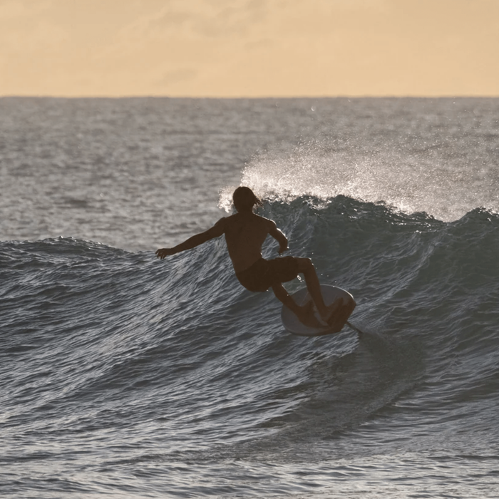 2024 North Sonar SF Front Wings, NORTH,FOIL - Lower