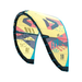 2023 Duotone Evo SLS Kiteboarding Kite | Force Kite & Wake